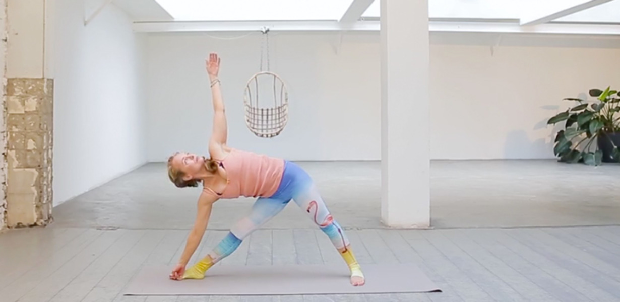 Ashtanga Primary Series - Skadi van Paasschen -