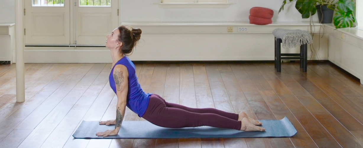 opwaartse-hond-header