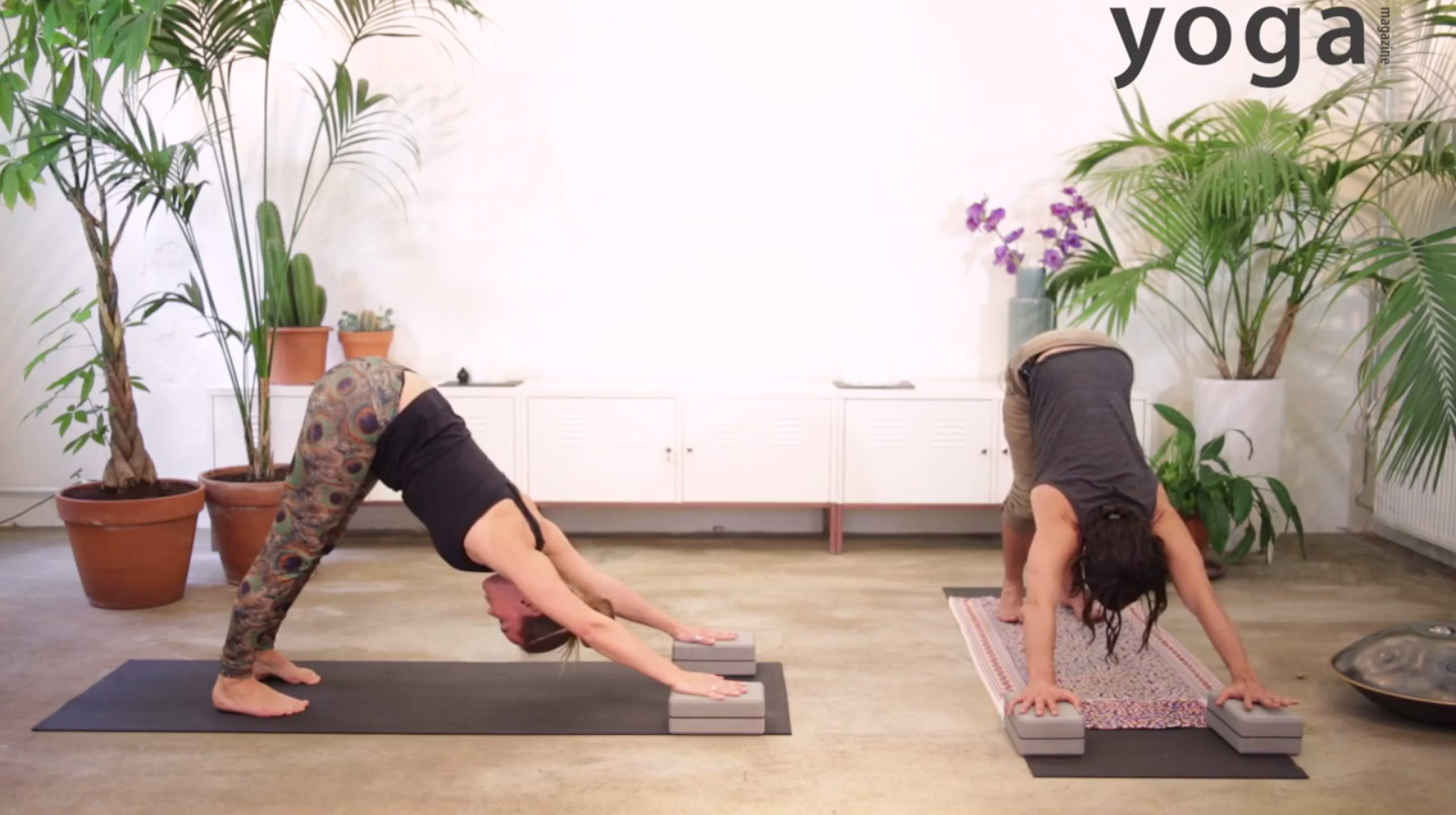 Mika de Brito - Playing with the Dog