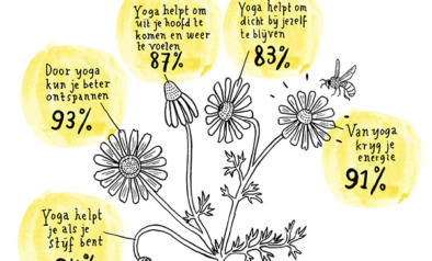 Infographic Yoga in Nederland