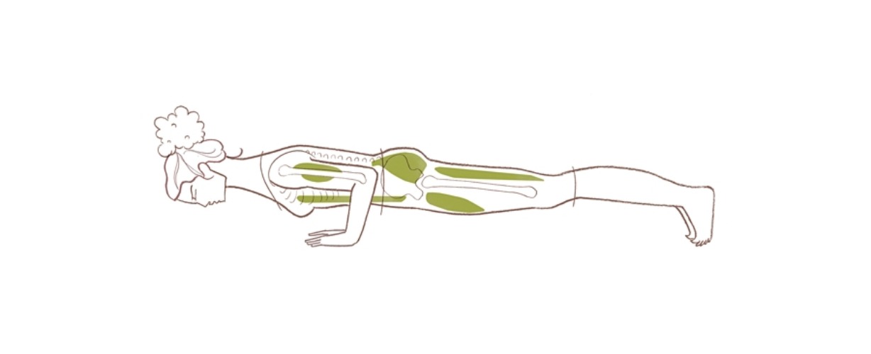 Chaturanga-Dandasana-Yoga-Online7