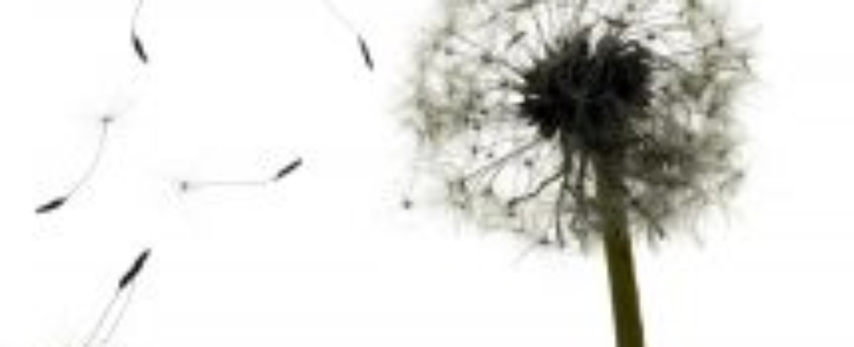 kwetsbaarheid naast de yogamat