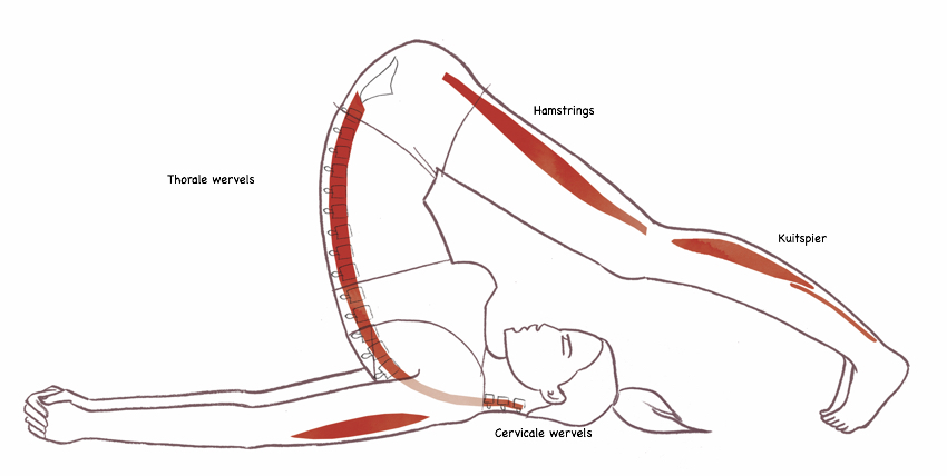 De Ploeg - Yoga Online