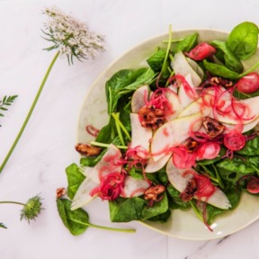 Wildpluk-salade-Yoga-Online-704×469