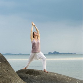 Krijger I - Yoga Online