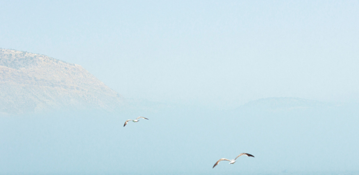 Sandra van Nispen – audio-meditatie emoties 720×440