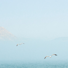 Sandra van Nispen – audio-meditatie emoties 720×440