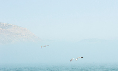 Sandra van Nispen – audio-meditatie emoties 720×440