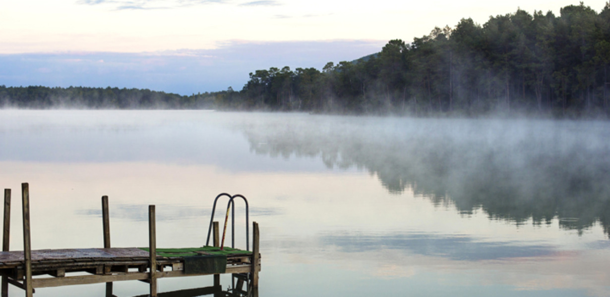 Sandra van Nispen - audio-meditatie mindfulness