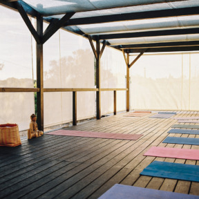 yogareis india1