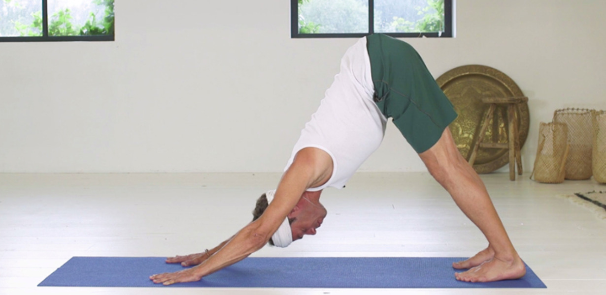 Patrick Vermeulen - how to yoga - neerwaartse hond 720x440