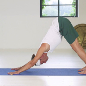 Patrick Vermeulen - how to yoga - neerwaartse hond 720x440