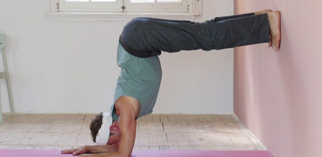 Patrick Vermeulen - how to yoga - pauw en halve pauw 720x440