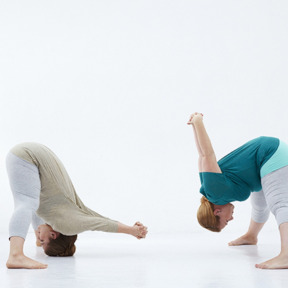 anatomie van de schouders