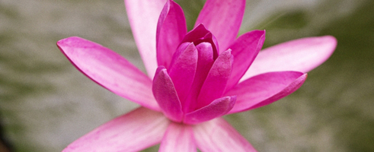 Ayurveda op Sri Lanka