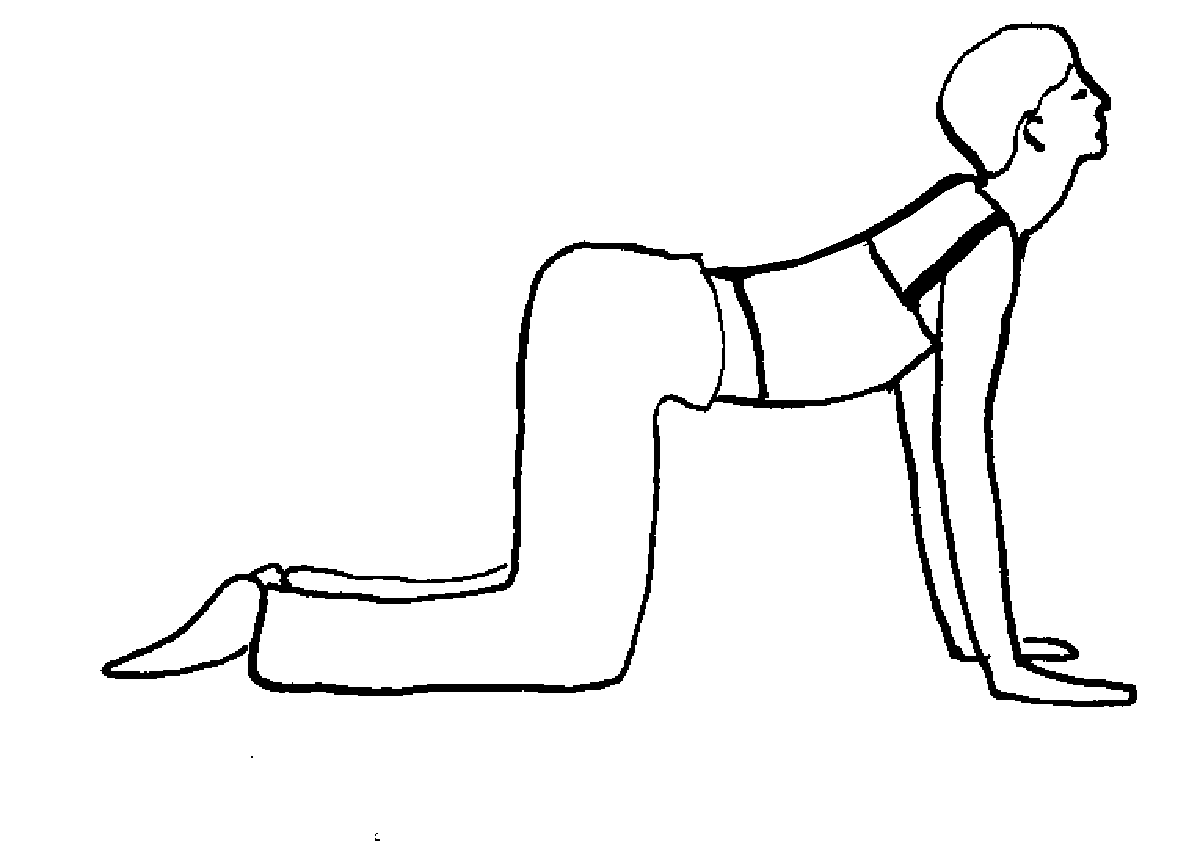 Yoga voor je onderrug