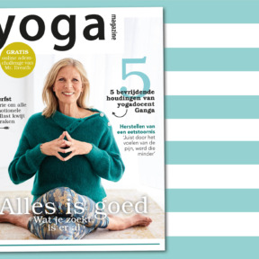 Blog – nieuw magazine ganga YM6-2019 – 700×425