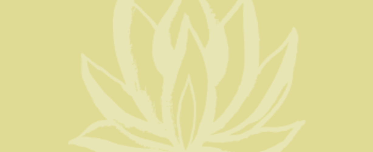 Blog quote – geel – Lotus