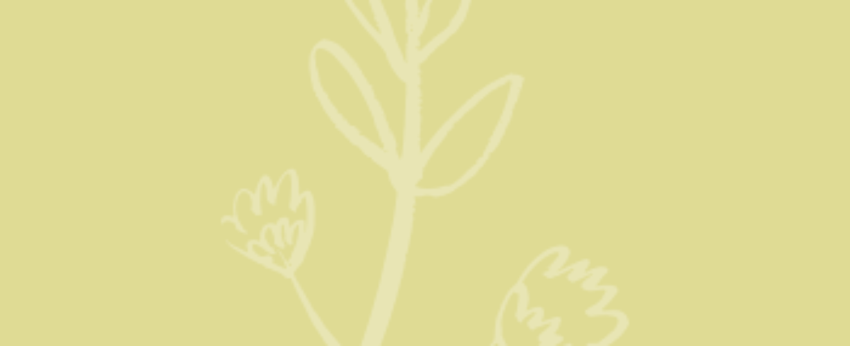 Blog quote – geel – Takje