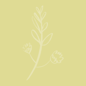 Blog quote – geel – Takje