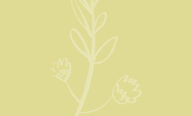 Blog quote – geel – Takje