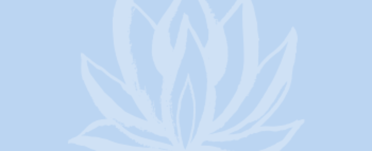 Blog quote – lichtblauw – Lotus