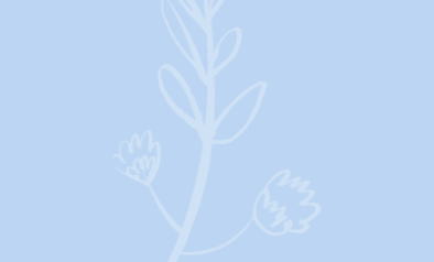 Blog quote – lichtblauw – Takje