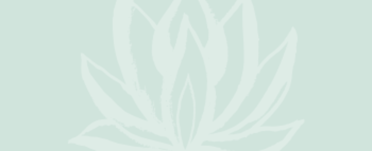 Blog quote – mint – Lotus