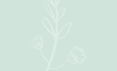 Blog quote – mint – Takje