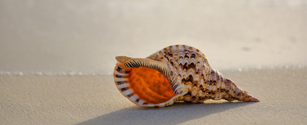 dharana-aandachtsoefeningen-2