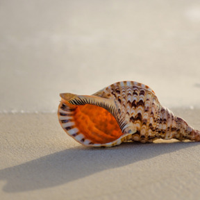 dharana-aandachtsoefeningen-2