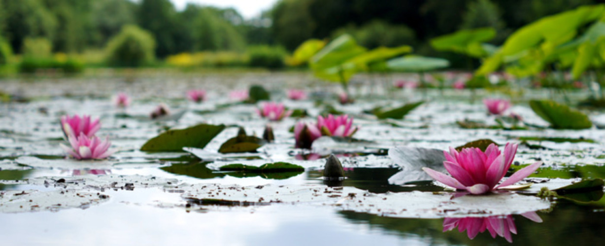 spirituele-groei-hanna-skoromma-unsplash-blog