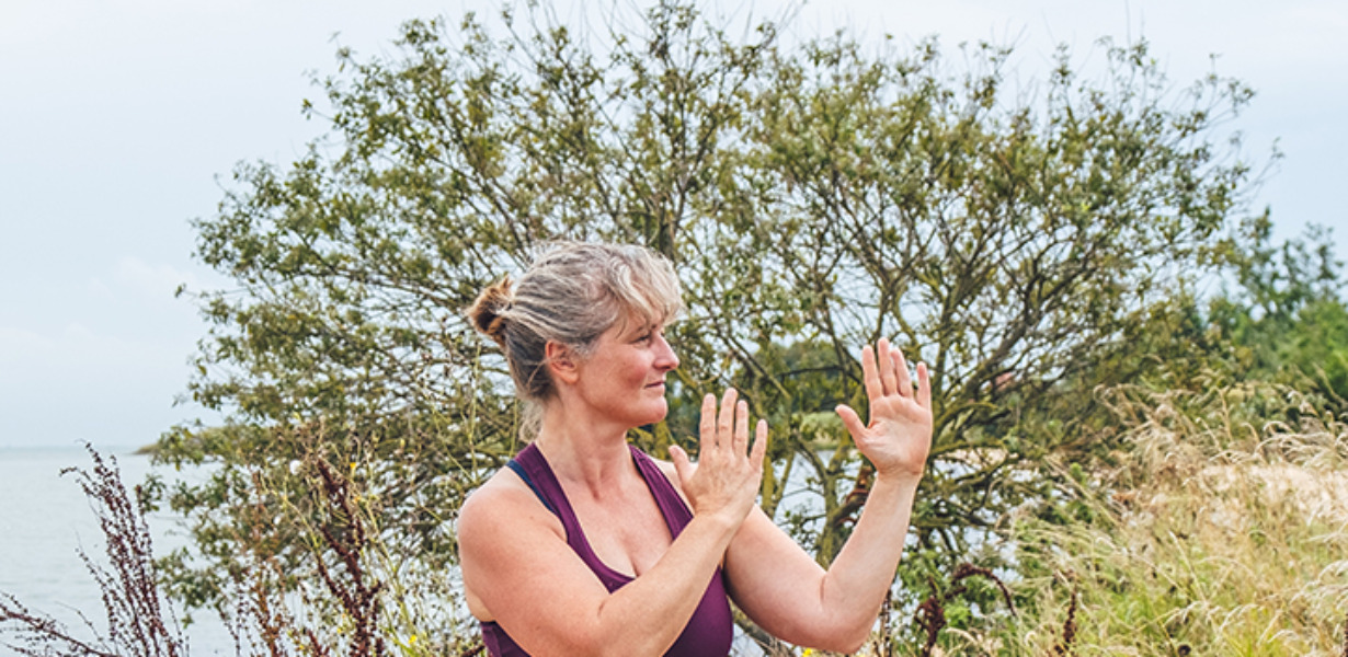 Petra Meirink - Odaka Ki flow