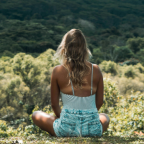 Dharma vinden uitgelicht