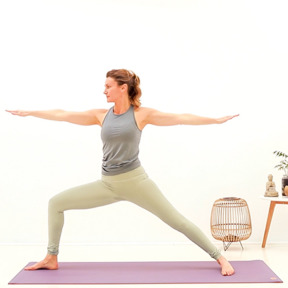 Vinyasa flow
