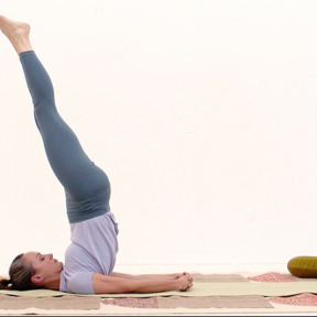 Hatha yoga