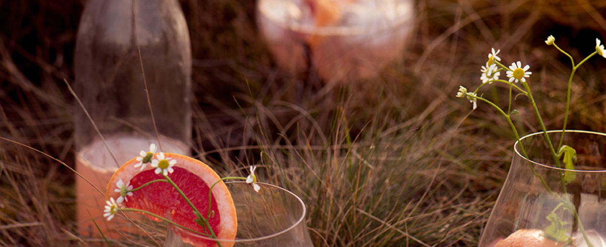 grapefruit gin tonic – Milou van der Will-6