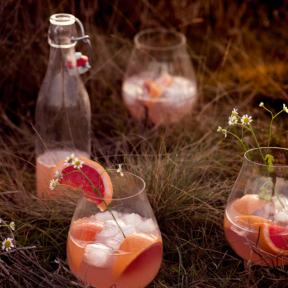 grapefruit gin tonic – Milou van der Will-6