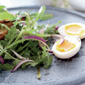 Salade paardenbloemblaadjes