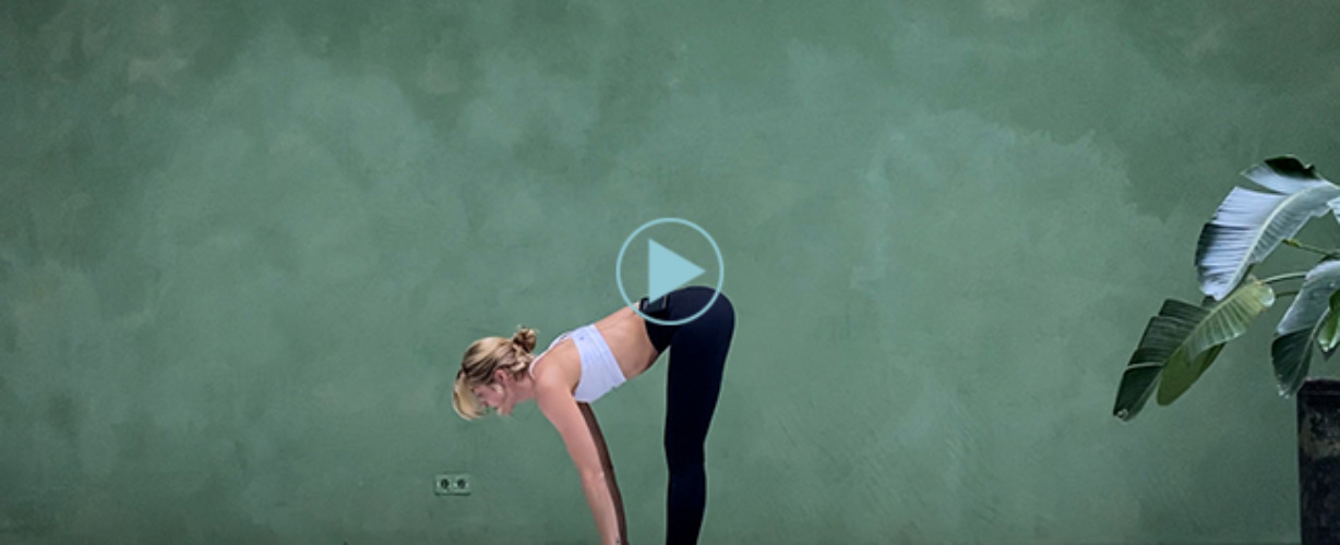 Video zonnegroetjes groot 650×366