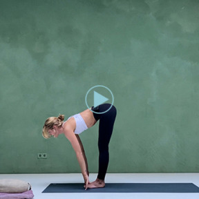 Video zonnegroetjes groot 650×366