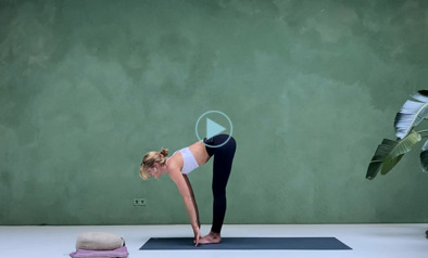 Video zonnegroetjes groot 650×366