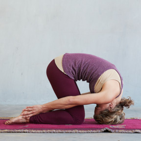 Konijnhouding rabbit pose