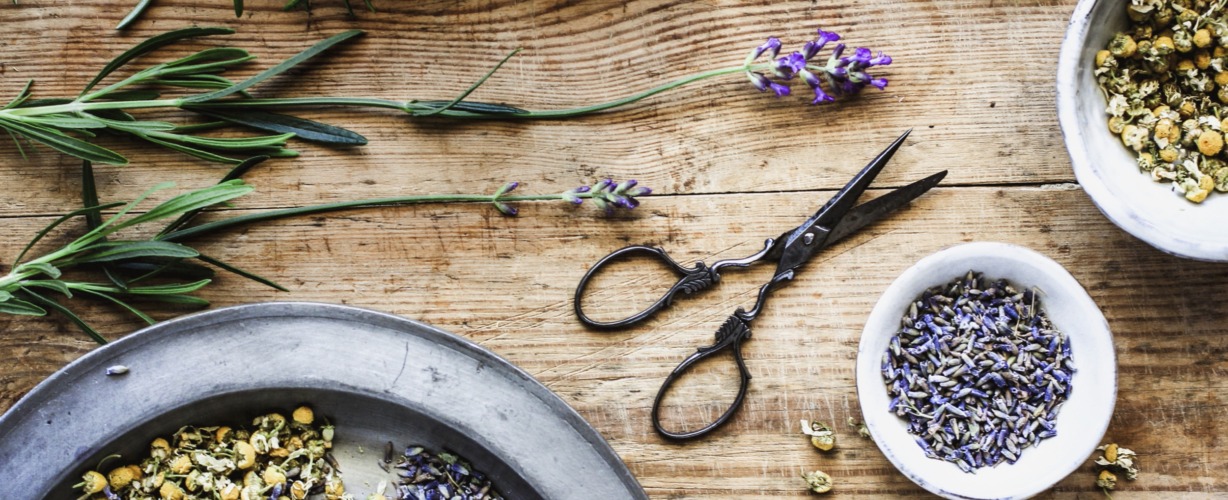 Sfeerbeeld kamille rozemarijn lavendel