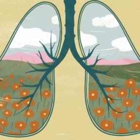 Adempauze meditatie Nanda van Praag