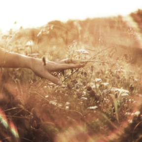 Trauma sensitive yoga