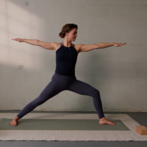 Vyana Vayu yogales