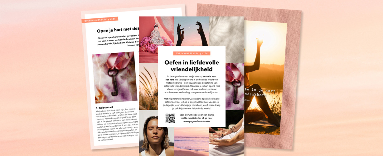 Banner-Metta-guide-2220x1000