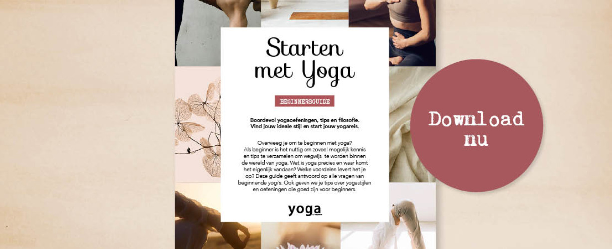 14. Artikelpagina-beginnersgids-1110×740