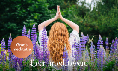 13. website-gratis ademhalingsmeditatie-johan-2880×1040-optie 1